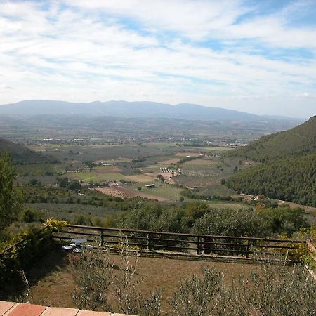 Agriturismo Istrice Innamorato Campello sul Clitunno Eksteriør billede